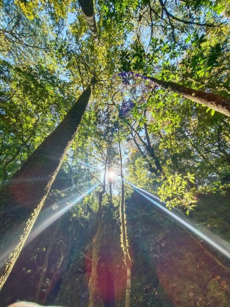 Gómez Farías es el municipio más bonito de Tamaulipas por toda su biodiversidad reconocida en el mundo