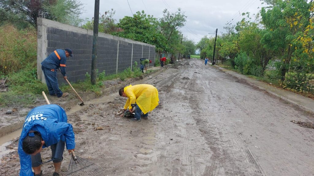 Gracias a nuestro equipo de trabajo