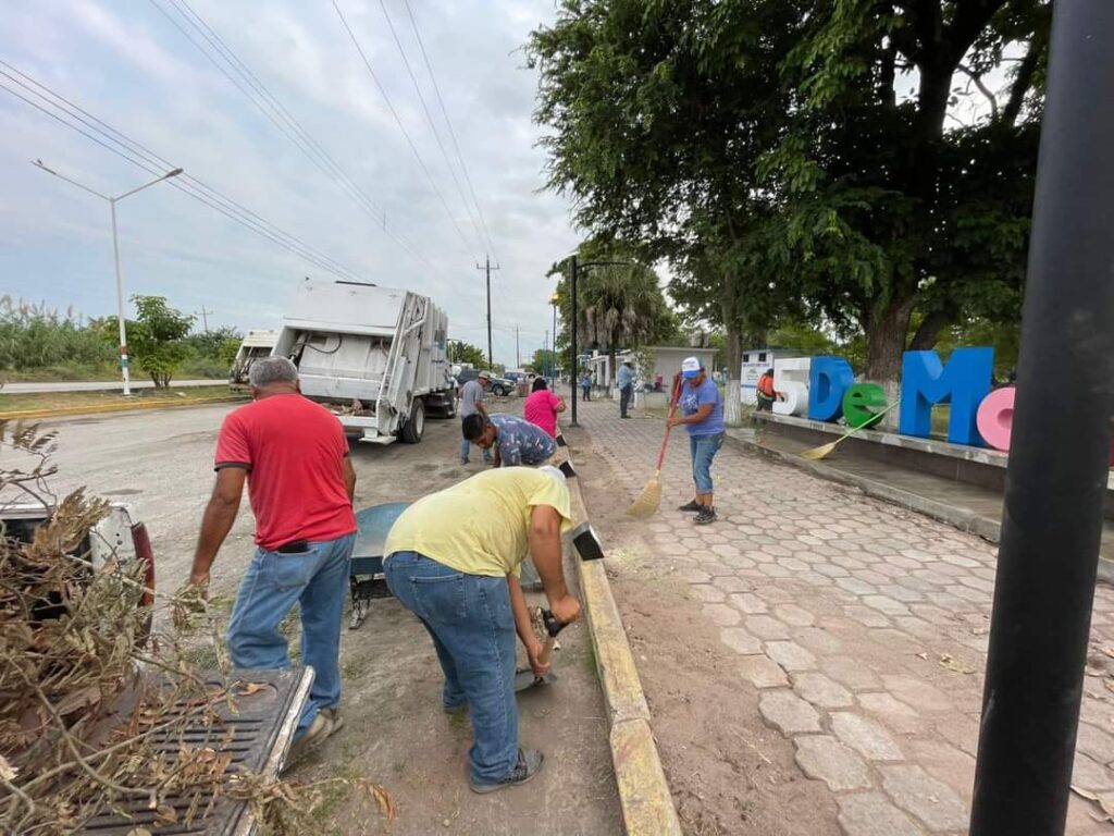 Gracias al equipo de servicios generales, le estamos dando una manita de gato a la plaza 5 de Mayo
