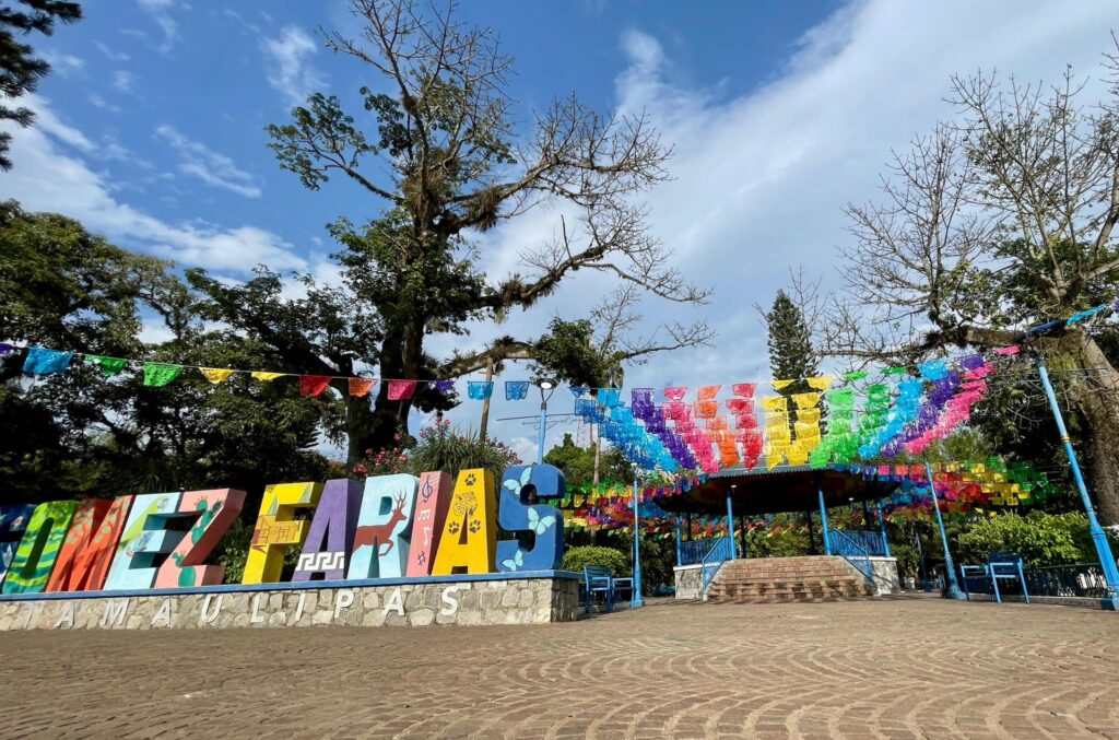 Así luce el corazón de Gómez Farías